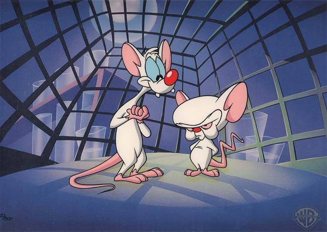 Pinky and the Brain