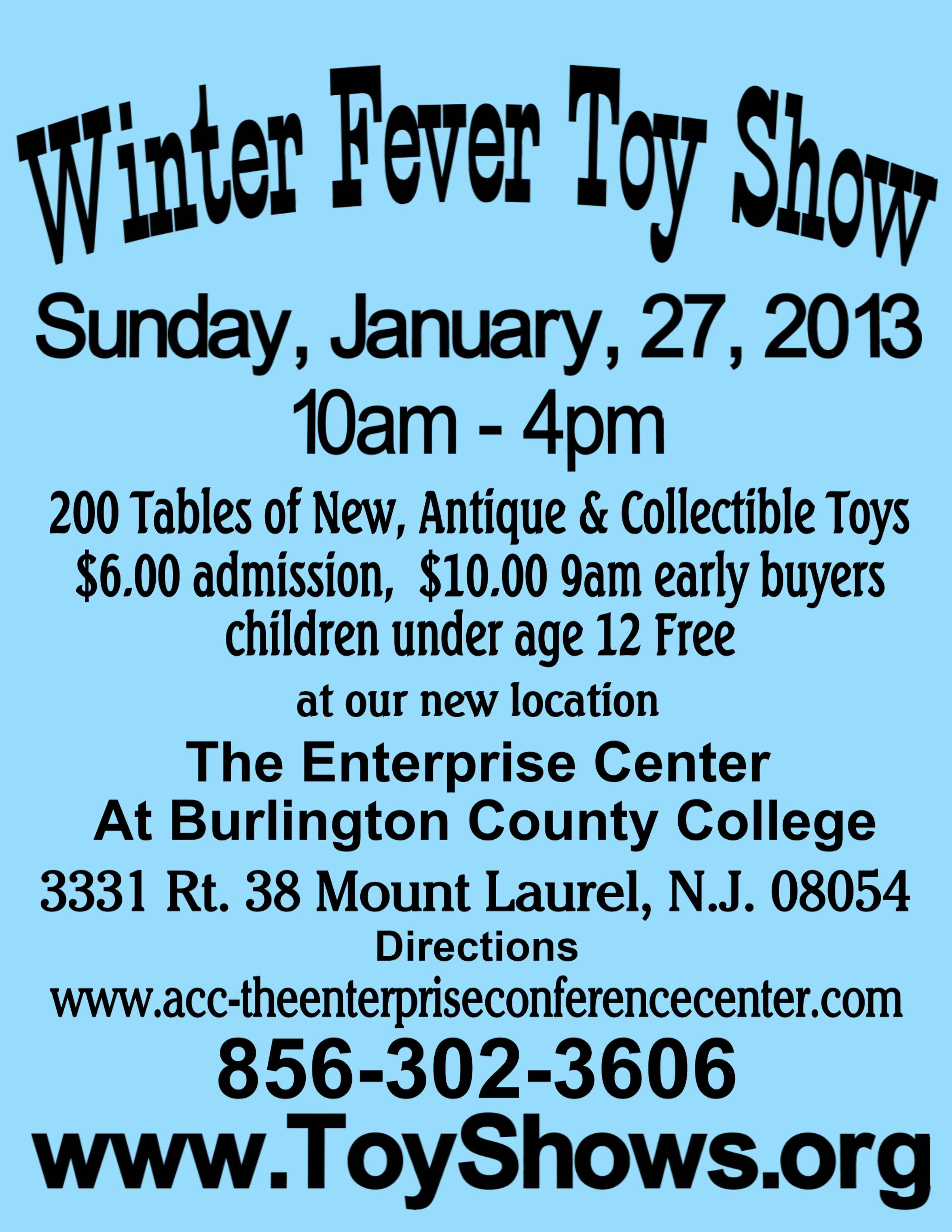 Winter Fever Toy Show 2013 Flyer