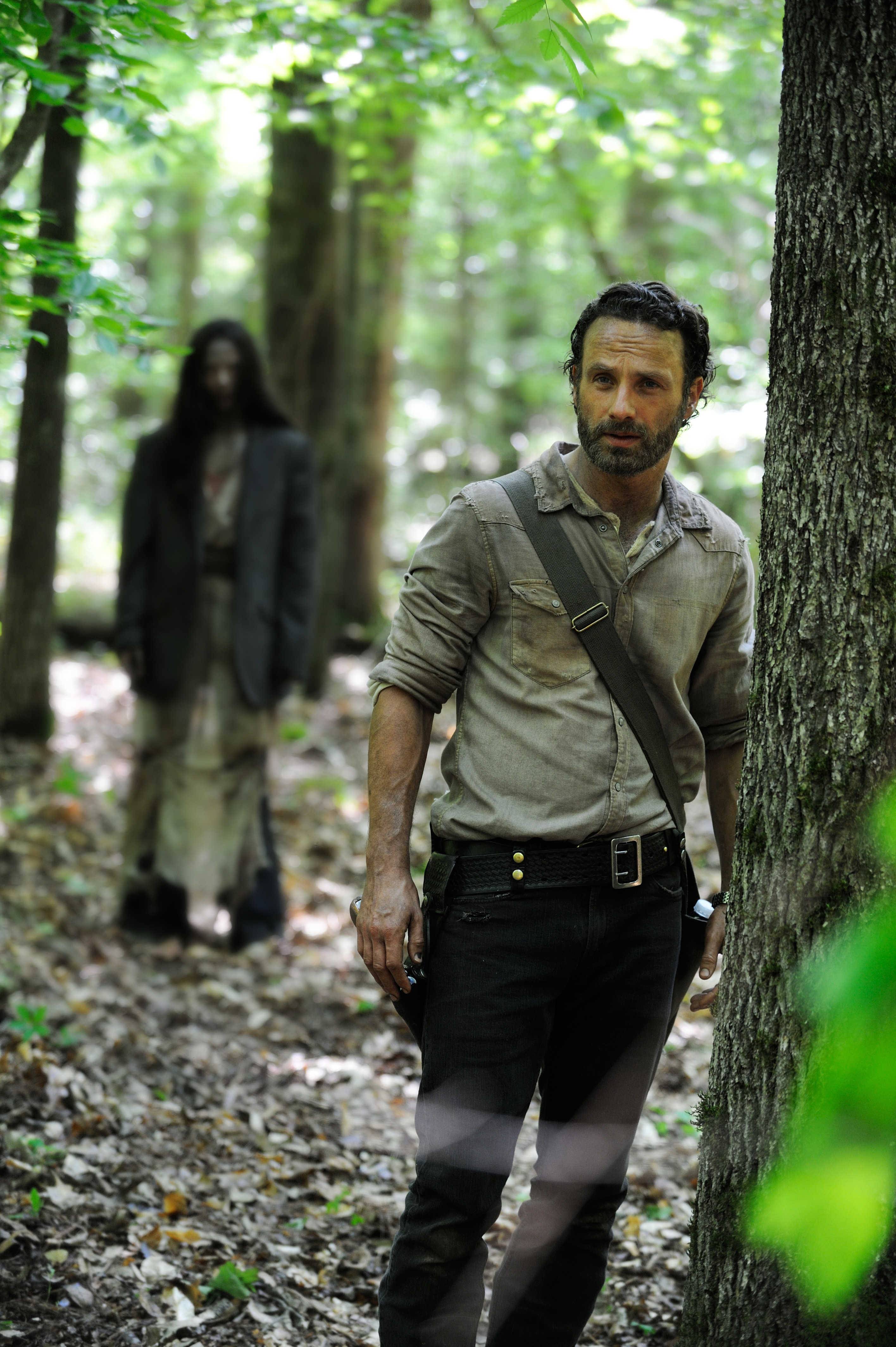 WDSeason4
