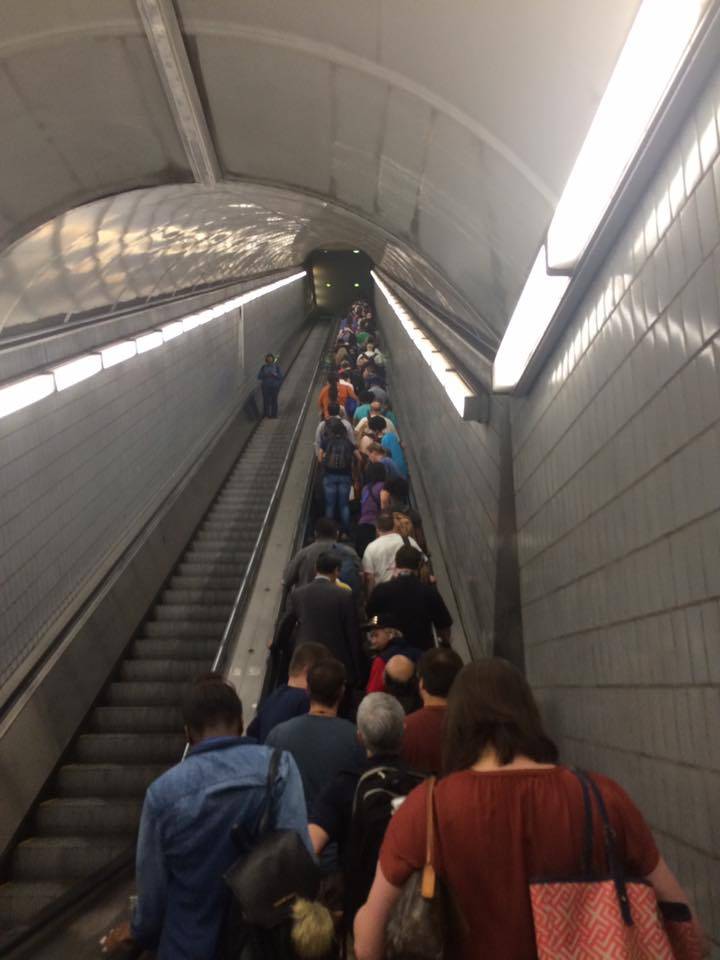 Walk toward the light!